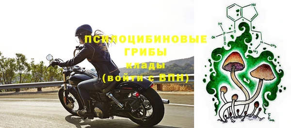 молекула духа Майский