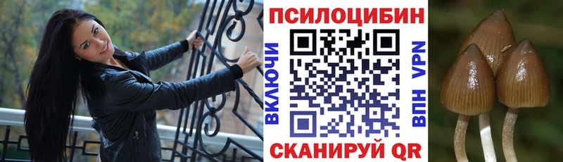 Галлюциногенные грибы Psilocybine cubensis  Боровск 